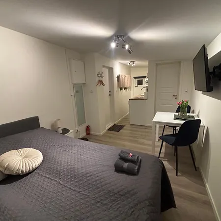 Litle Cozy In Apartment